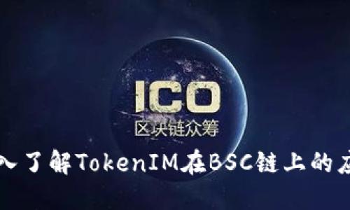 ### 深入了解TokenIM在BSC链上的应用与操作