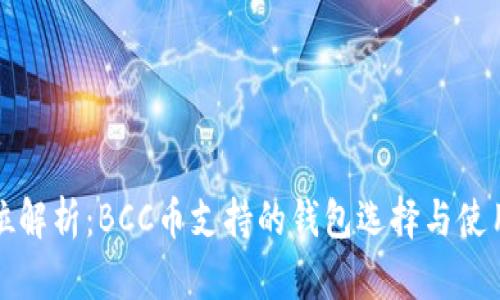 全方位解析：BCC币支持的钱包选择与使用指南