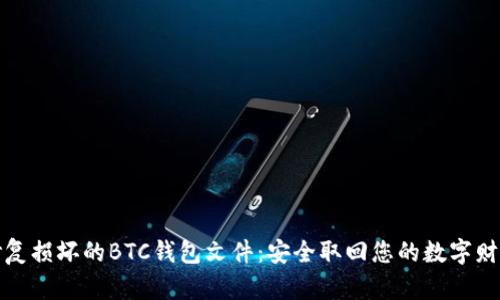 修复损坏的BTC钱包文件:安全取回您的数字财富