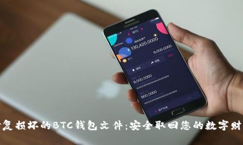 修复损坏的BTC钱包文件:安全取回您的数字财富