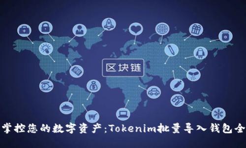轻松掌控您的数字资产:Tokenim批量导入钱包全攻略