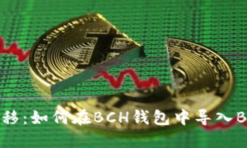 无缝迁移:如何在BCH钱包中导入BTC备份