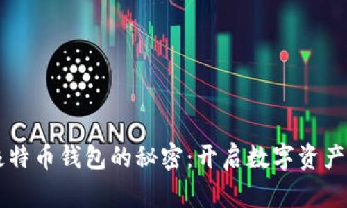 掌握极特币钱包的秘密：开启数字资产新篇章