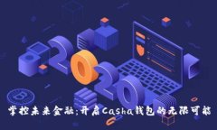 掌控未来金融：开启Casha钱包的无限可能