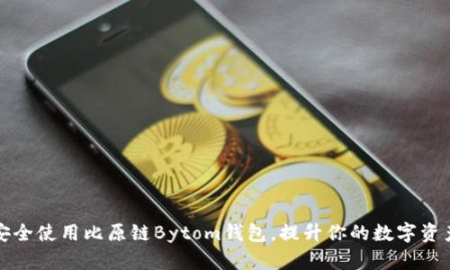 如何安全使用比原链Bytom钱包,提升你的数字资产保护