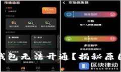 数字人民币钱包无法开通？揭秘原因与解决方案