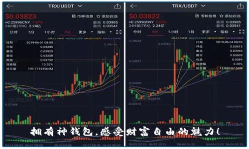拥有神钱包，感受财富自由的魅力！