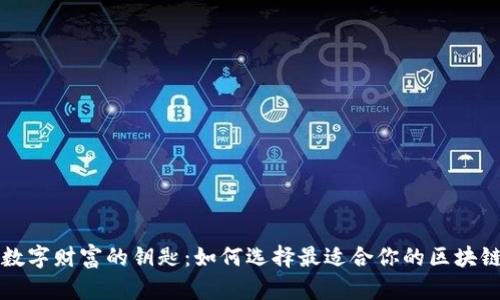 掌握数字财富的钥匙：如何选择最适合你的区块链钱包