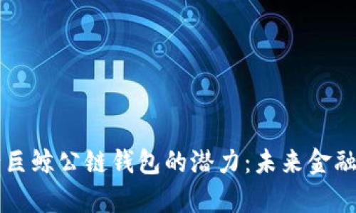 解锁央行巨鲸公链钱包的潜力：未来金融的新篇章