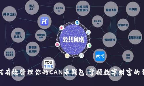 如何有效管理你的CAN币钱包，掌握数字财富的钥匙