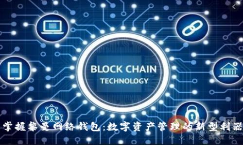 掌握黎曼网络钱包:数字资产管理的新型利器