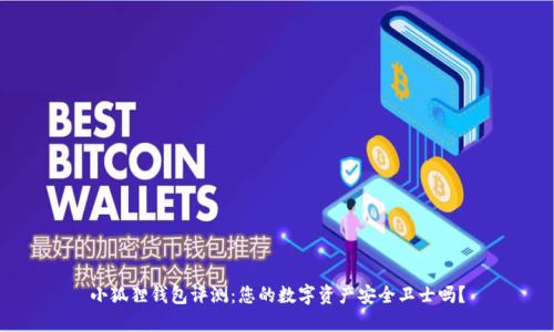 小狐狸钱包评测:您的数字资产安全卫士吗?