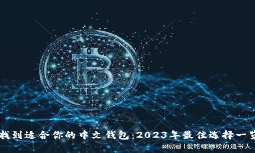 找到适合你的中文钱包:2023年最佳选择一览