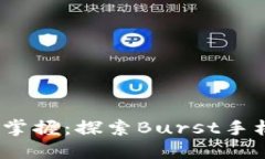 每一次支付，尽在掌握：探索Burst手机钱包的无限