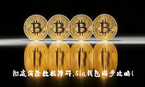 彻底消除数据障碍,Sia钱包同步攻略!