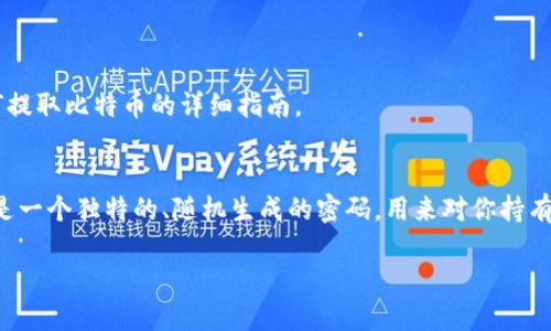 提取比特币的过程涉及到比特币的安全性和操作步骤，因此在进行相关操作时必须谨慎。下面是一个关于如何提取比特币的详细指南。

### 私钥与比特币的关系
在深入提取比特币的步骤之前，我们首先要理解私钥的概念。比特币的私钥就像是你个人的银行账户密码，它是一个独特的、随机生成的密码，用来对你持有的比特币进行访问和控制。失去私钥意味着你失去了对比特币的控制权。因此，保护私钥的安全是至关重要的。

### 安全提取比特币的完整指南