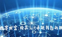 保护你的数字财富：购买.bit币硬钱包的理由与指