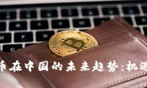 探索加密货币在中国的未来趋势:机遇与挑战并存