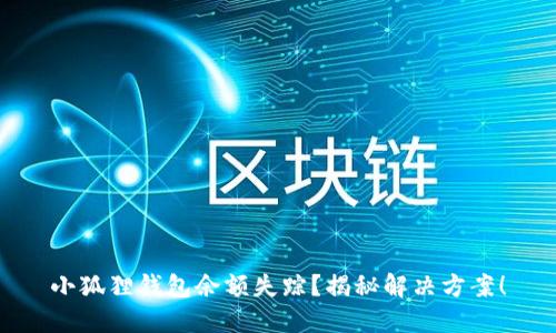 小狐狸钱包余额失踪?揭秘解决方案!