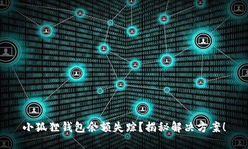 小狐狸钱包余额失踪?揭秘解决方案!
