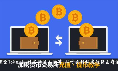 探索Tokenim抹茶的迷人世界:从叶尖到杯底的绿色奇迹