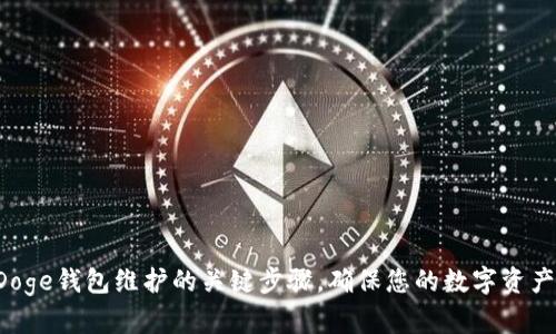探索Doge钱包维护的关键步骤，确保您的数字资产安全!