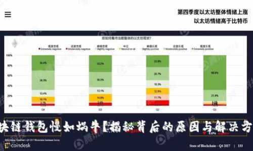 区块链钱包慢如蜗牛?揭秘背后的原因与解决方案!