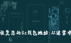 如何成功恢复您的Sc钱包地址：从迷雾