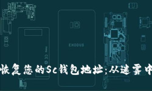 如何成功恢复您的Sc钱包地址：从迷雾中找到光明
