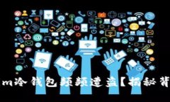 为什么Tokenim冷钱包频频遭盗？揭秘背
