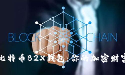 揭秘比特币B2X钱包:你的加密财富之舟