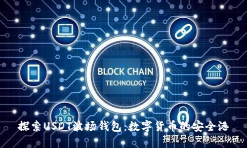 探索USDT波场钱包：数字货币的安全港