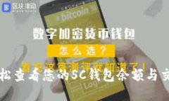 如何轻松查看您的SC钱包余额与交易记