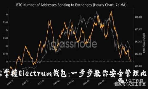 轻松掌握Electrum钱包:一步步教你安全管理比特币