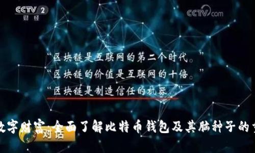 解锁数字财富：全面了解比特币钱包及其脑种子的重要性