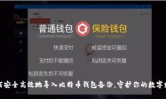 如何安全高效地导入比特币钱包备份，