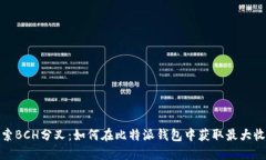 探索BCH分叉：如何在比特派钱包中获取