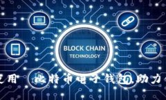 如何安全高效地使用犇比特币电子钱包
