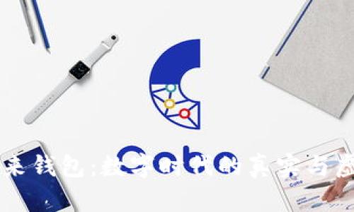 未来钱包:数字时代的真实与虚幻