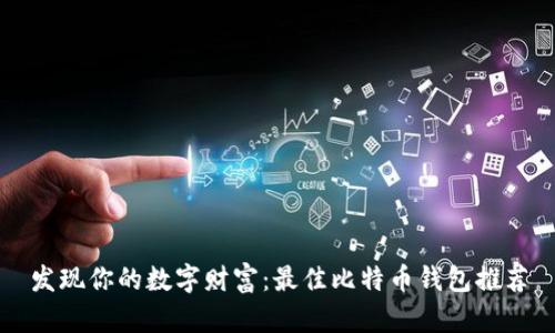 发现你的数字财富:最佳比特币钱包推荐