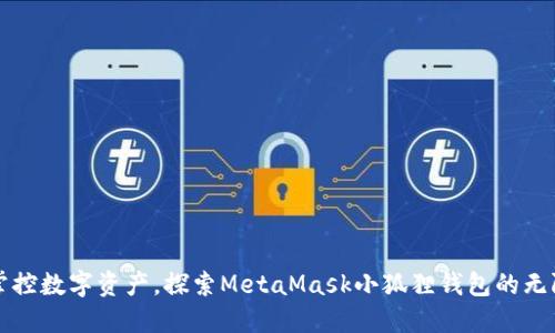 轻松掌控数字资产，探索MetaMask小狐狸钱包的无限可能