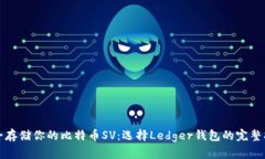 安全存储你的比特币SV：选择Ledger钱包